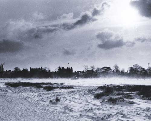 Paul Bonner photo of Common in Blizzard