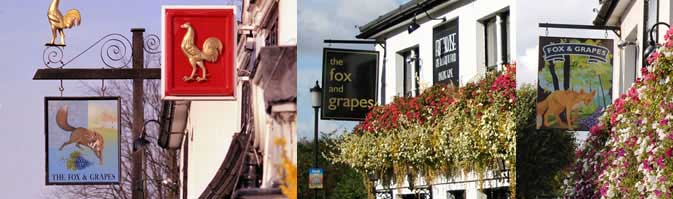 Fox and Grapes sign over years