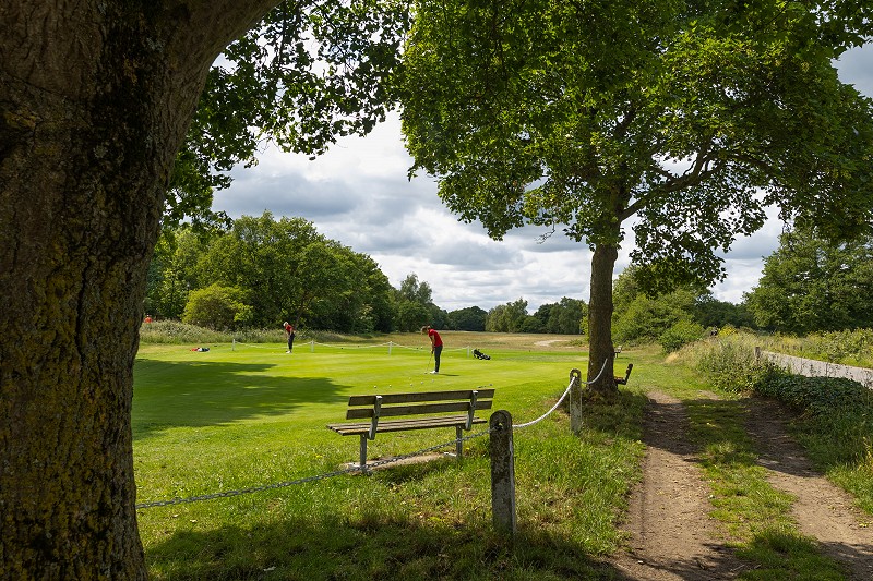 WCGC putting lawn