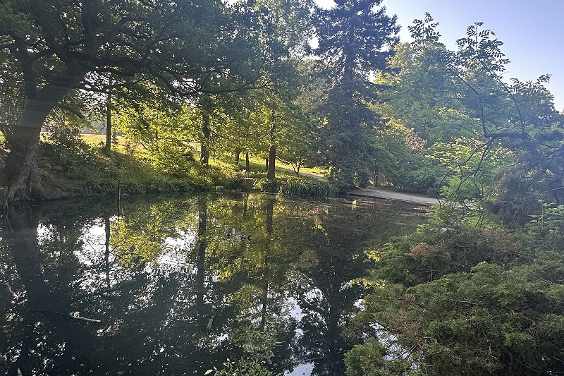 Cannizaro pond