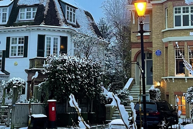 North View in the snow