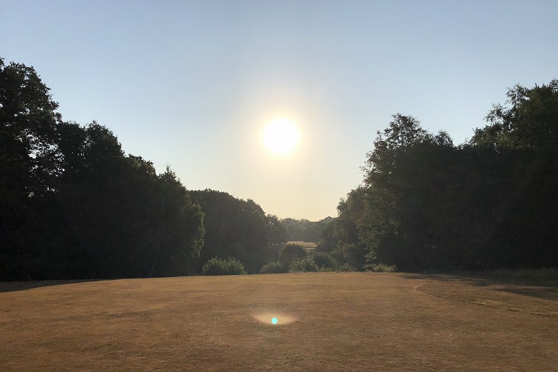 Wimbledon Common