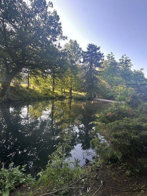 Cannizaro pond