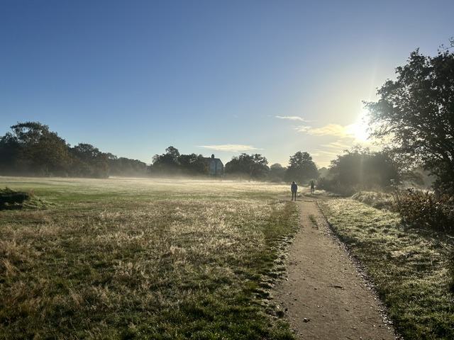 Walkers on a misty, frosty morning path across Wimbledon Common