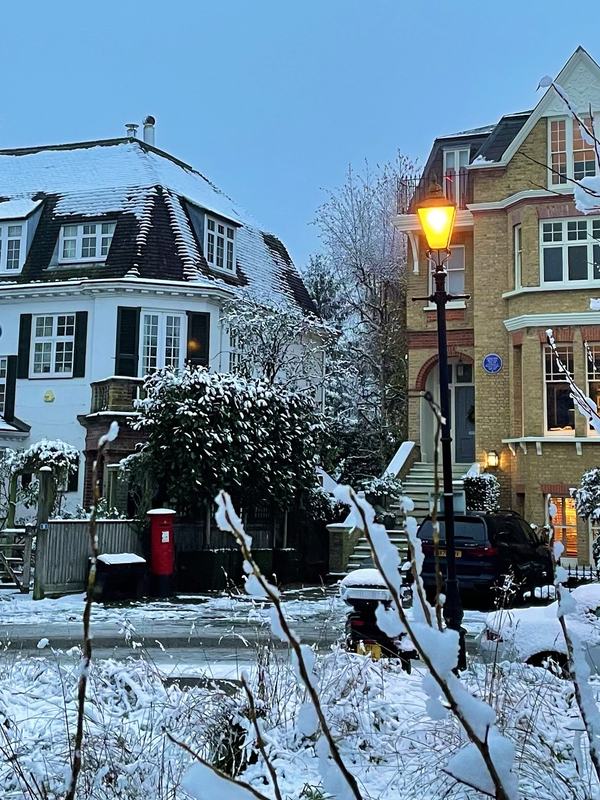 North View in the snow