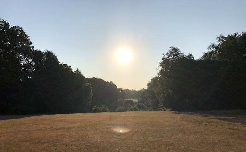 Wimbledon Common