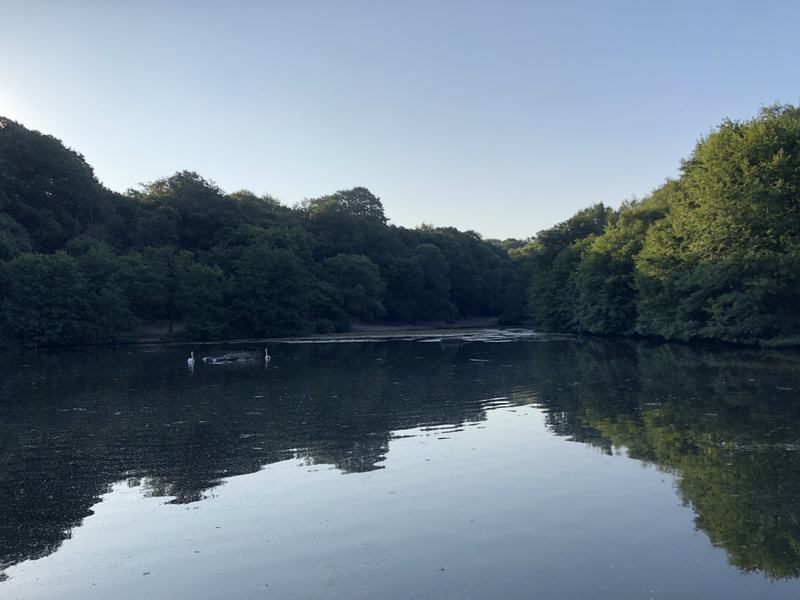 Wimbledon Common