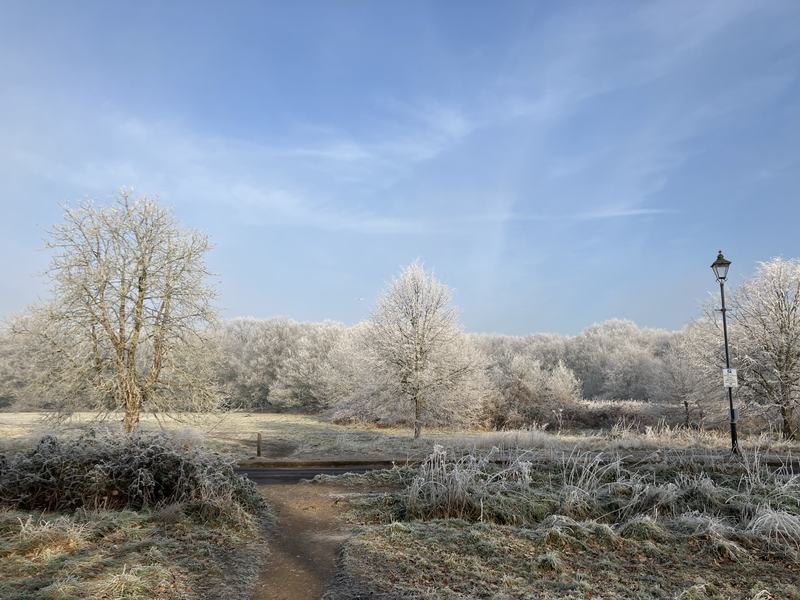 Wimbledon Common in winter