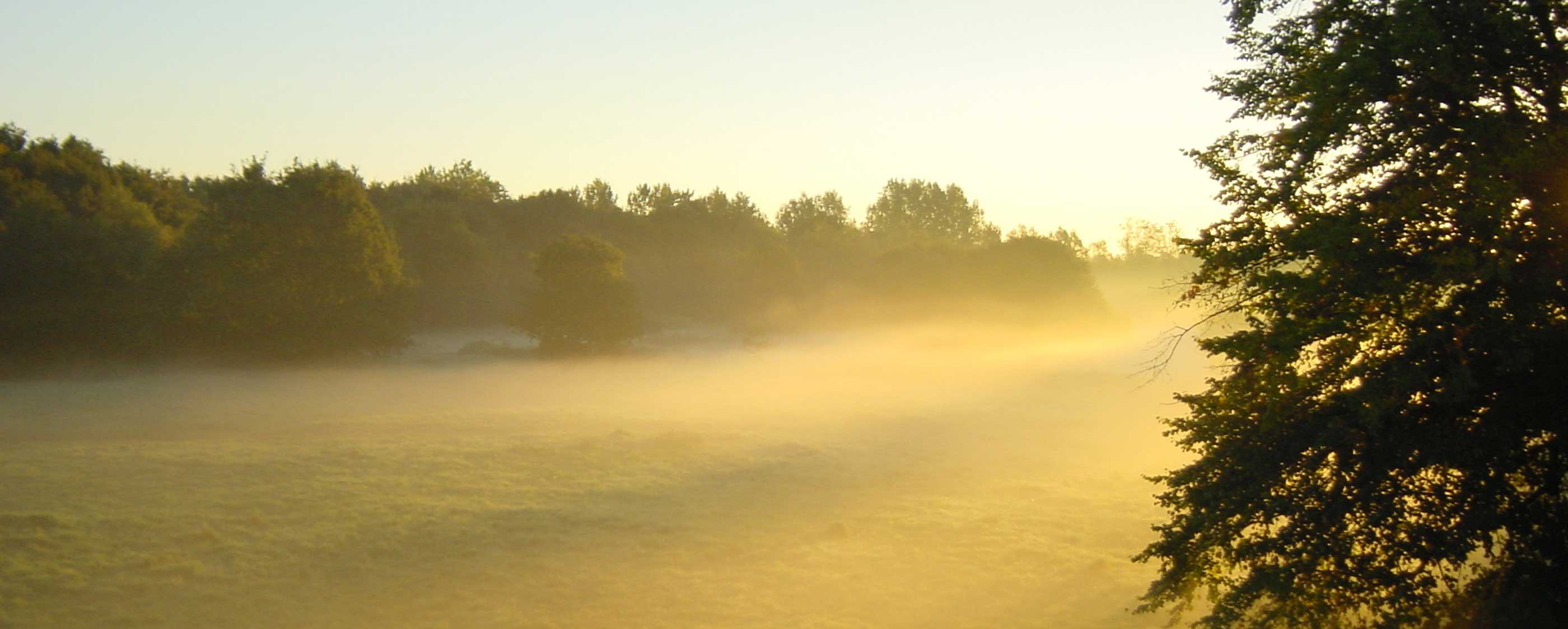 Wimbledon Common West Residents Association